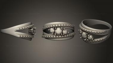 Jewelry rings Ring 14 3d model